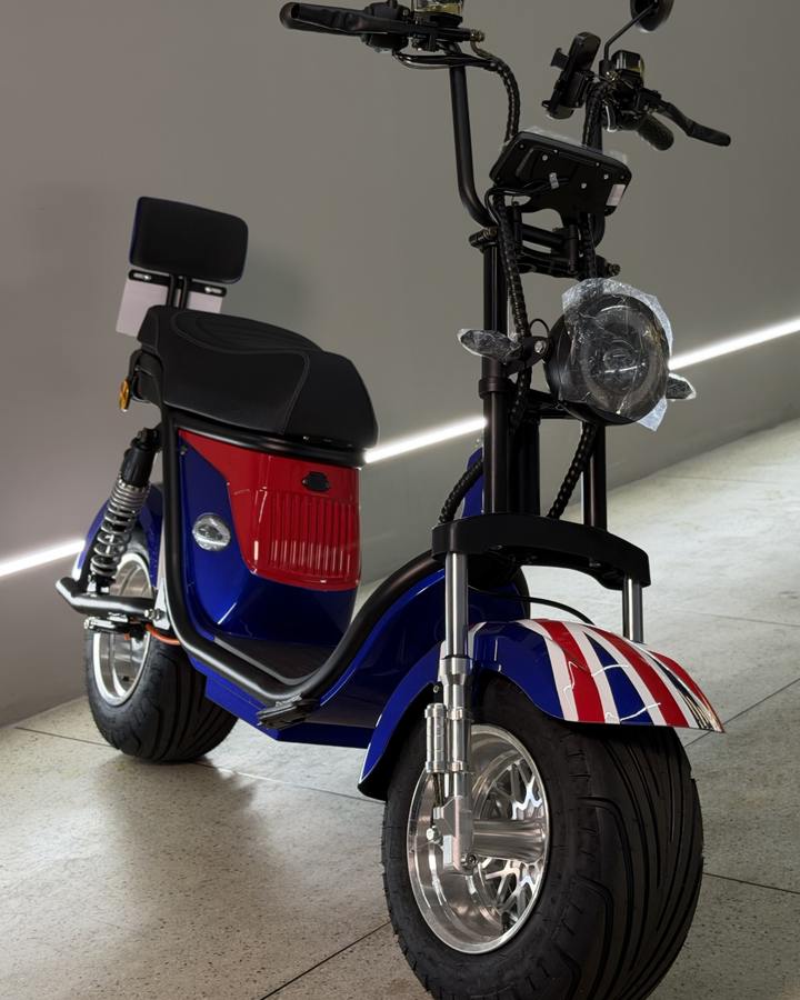 Scooter X18 PRO 1000W na cor Bandeira na Elétricas Brasil, Anápolis, foto 3